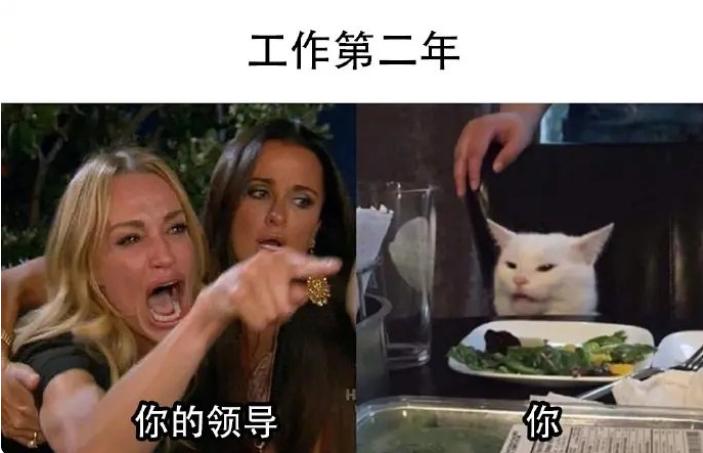 打工人用梗图形容5年的“成长”,面对领导批评,这不就是我本人