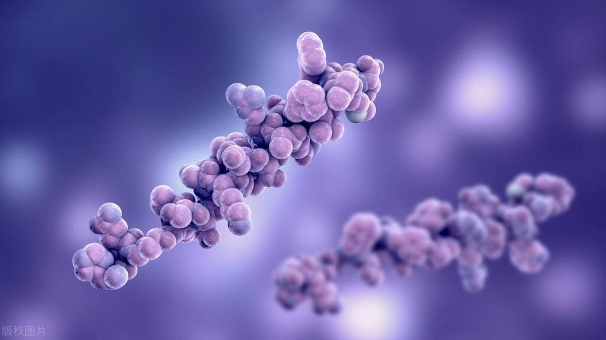 女性屁股大是什么原因造成的,女性臀部宽什么原因怎么治疗