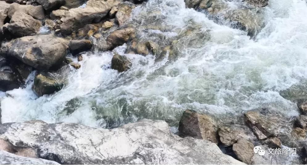 冬樱散场菜花香，蜂飞花间采蜜忙：用一天的时间去邂逅乡野风光