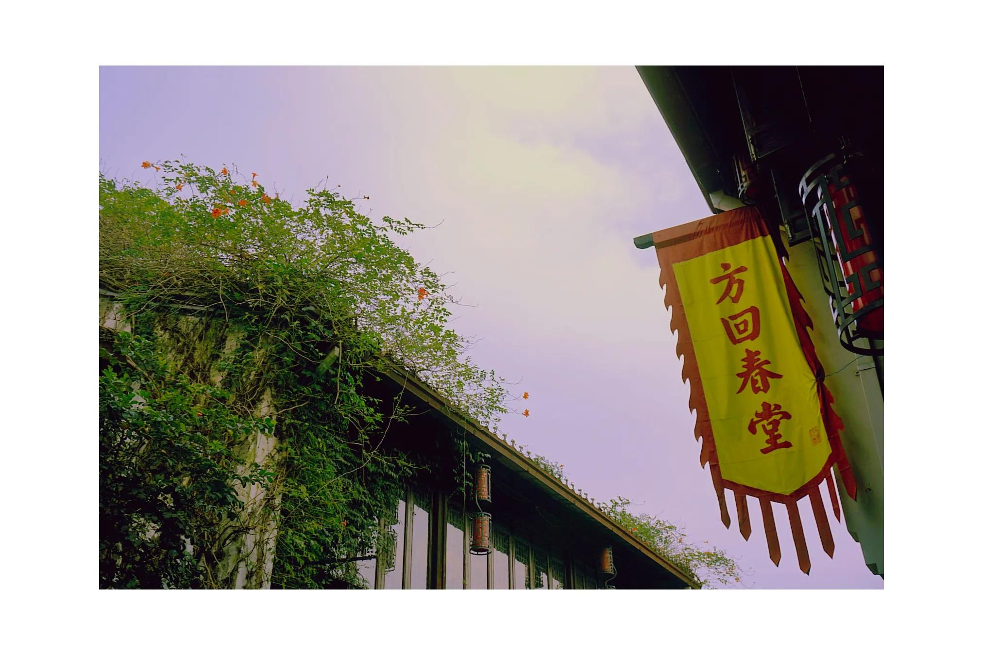 生活在杭州,生活在浙江杭州是什么体验