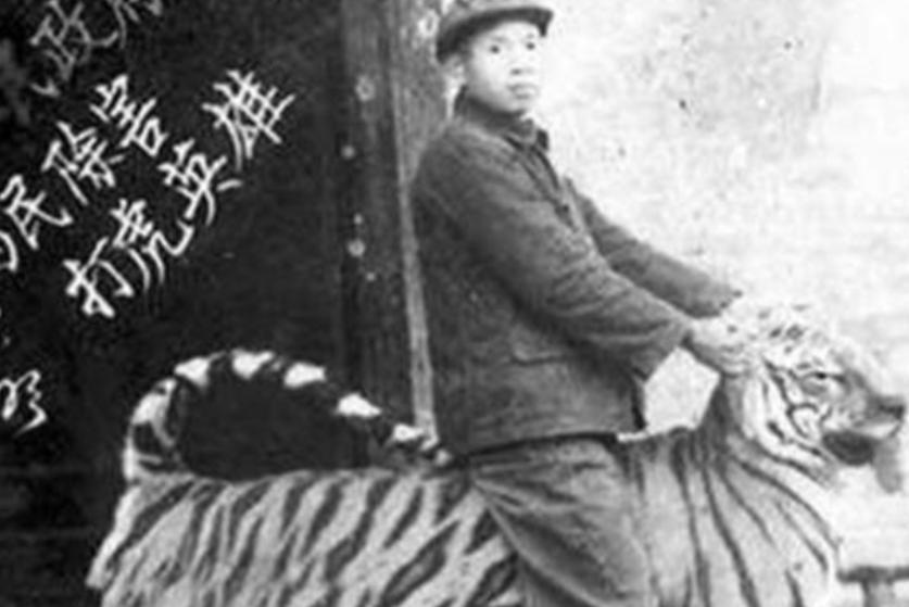 湖南奇人贺业武：一生杀死305只老虎，到死也不透露秘药配方