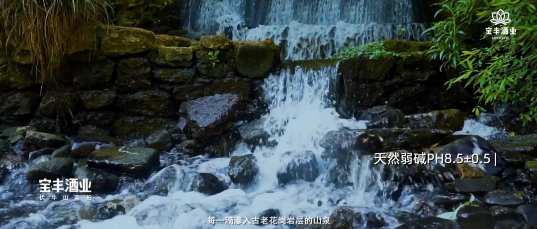 春暖花开酿酒正当时,好酒知时节酿酒正当时