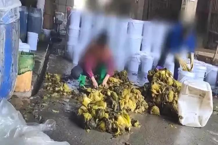 紧急提醒这5批次海鲜别买,海鲜黑幕揭秘