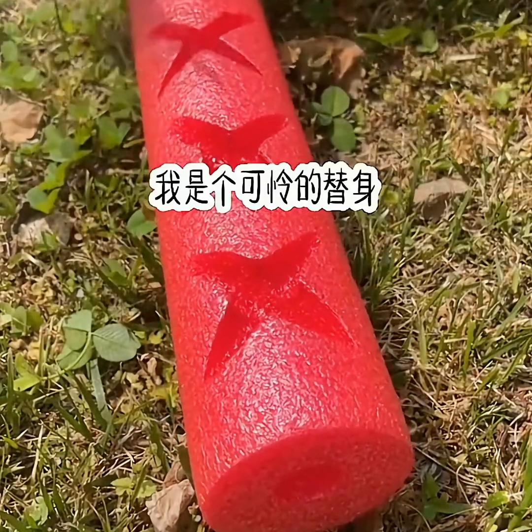 薇薇思雨梦@DOU+上热门