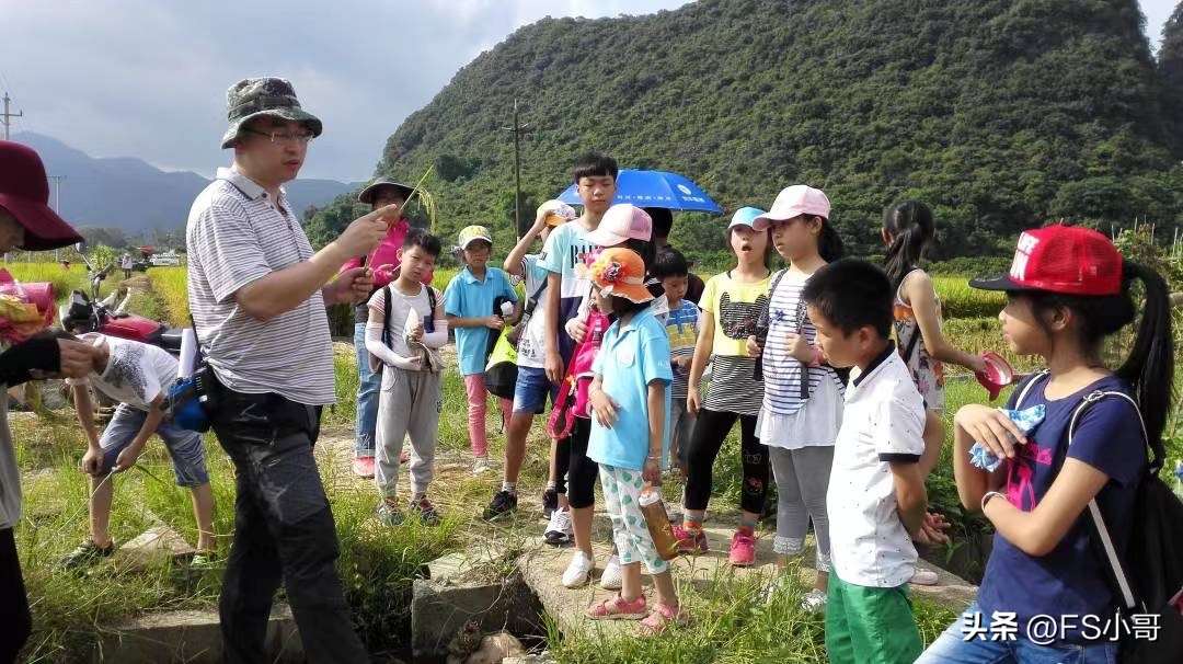 夏天到了小朋友的夏令营如何挑选,夏令营必玩项目