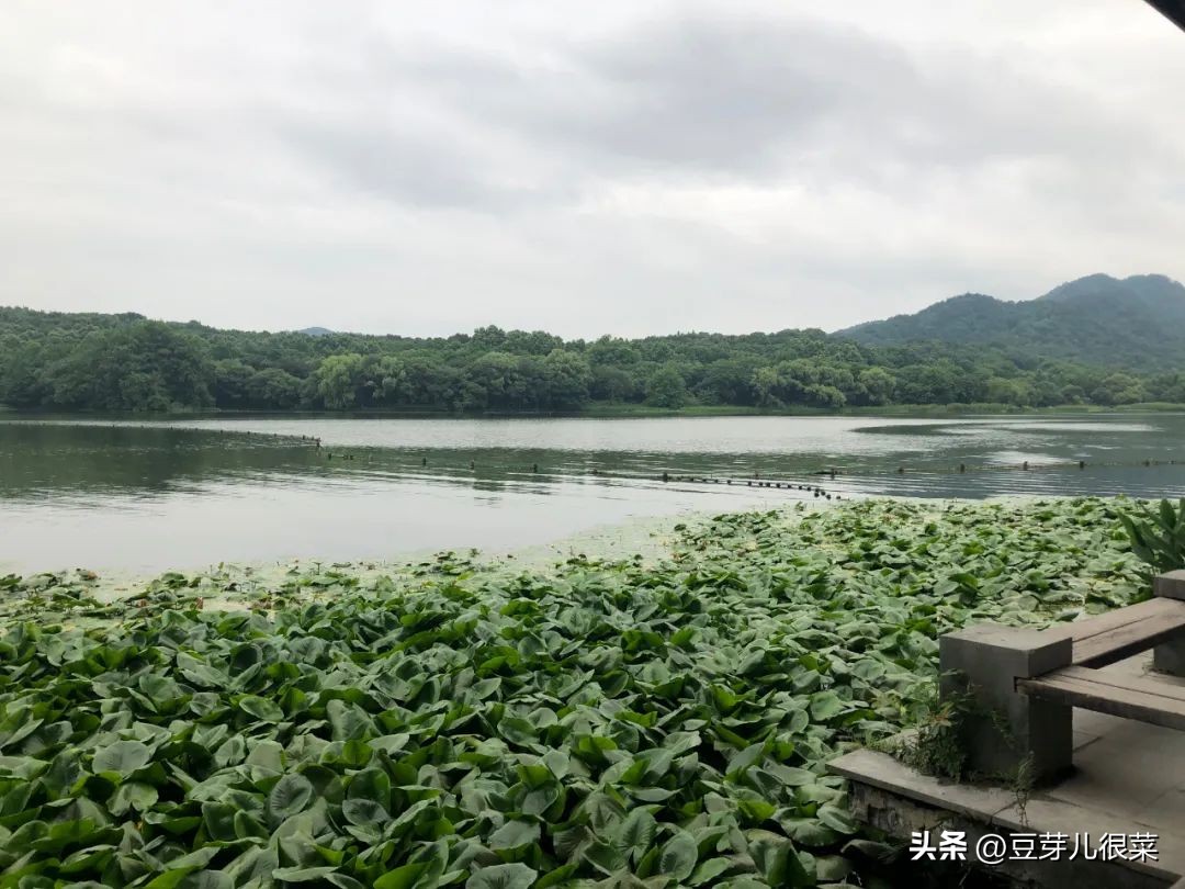 老婆老是查账是什么心态,老婆经常查账是什么心理