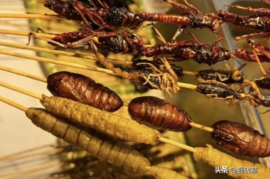 游客在长沙花115元买8根炸串，与商家发生口角后被骂“穷b”