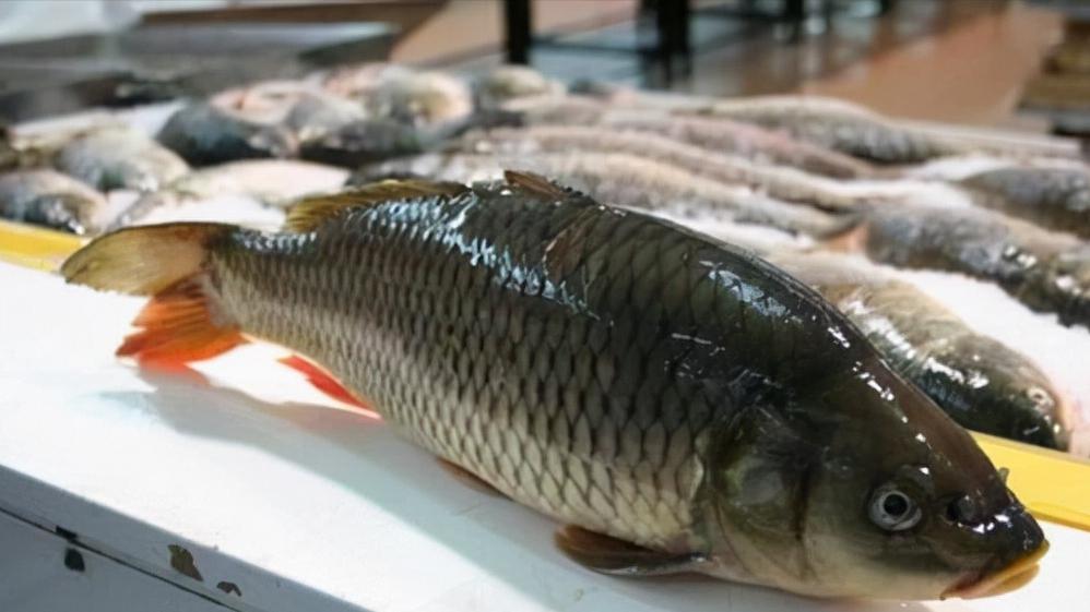 同样是鱼肉，“肚子大”和“肚子小”区别挺大，学会再买不吃亏