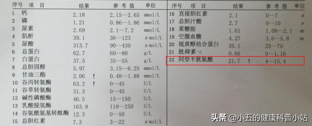 叶酸的功效与作用治萎缩性胃炎吗,叶酸对非萎缩性胃病有什么好处