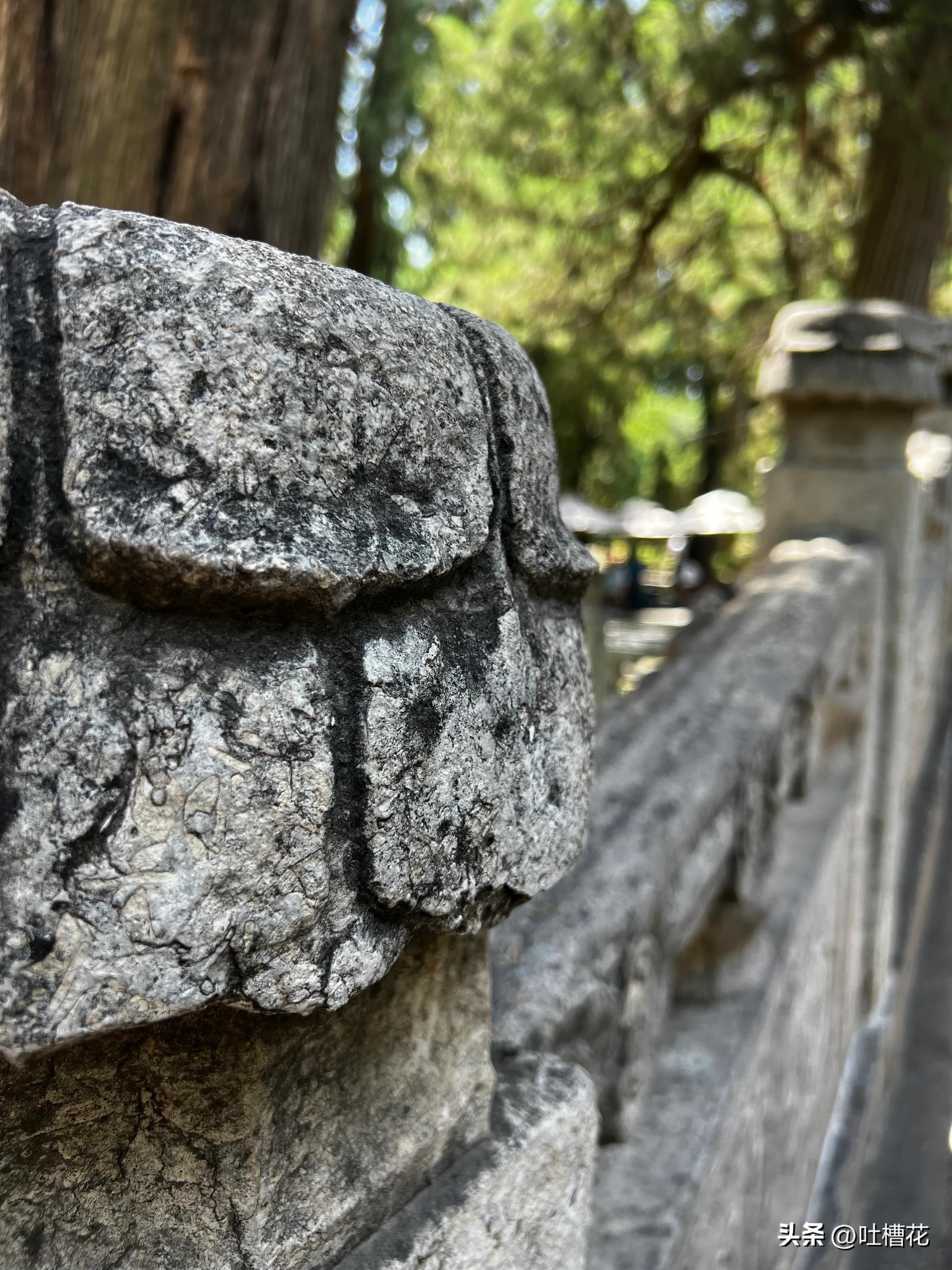 37℃，高温下逛完孔庙，孔子姓啥