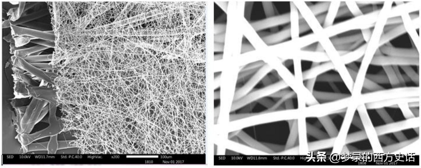 纤维和结晶纳米纤维素对醋酸纤维素膜的增强作用