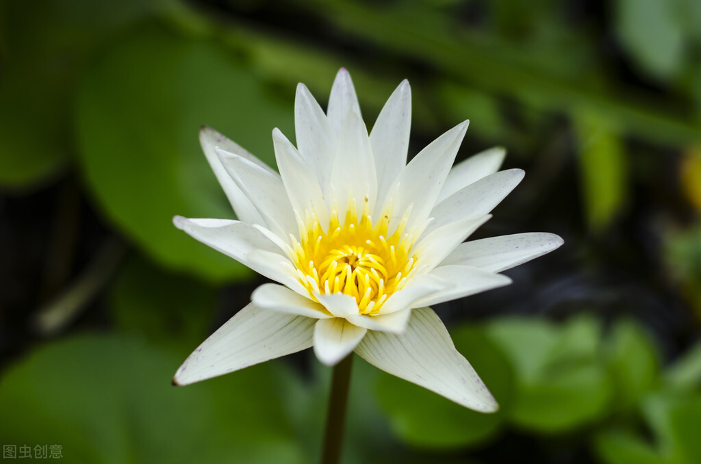 清都的原创诗词，4年作品合集，用文字记录生活