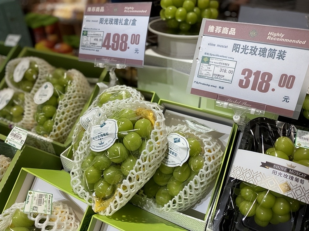 日本阳光葡萄,日本葡萄卖5000