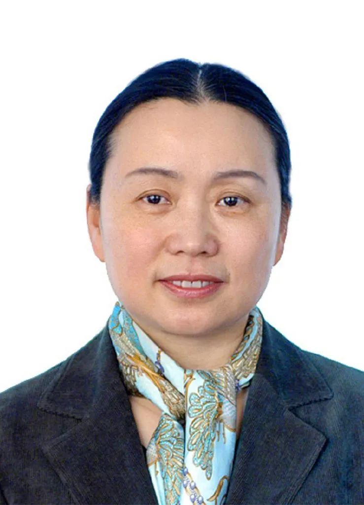 法学理论研究,宪法学的脉络