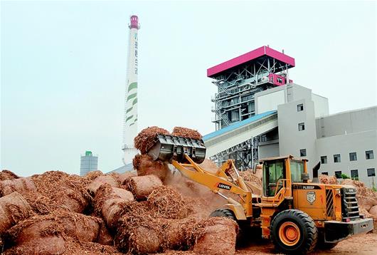 秸秆不让焚烧也不给解决方法,秸秆如何管理与注意事项