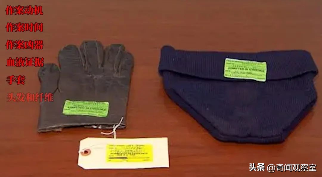 辛普森案真相解析,辛普森案真相解密