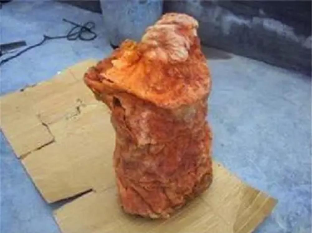 太岁中科院研究,太岁之谜神秘东西