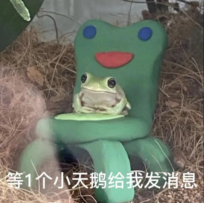 你说不喜欢我表情包我就删了,你为什么把我删了表情包