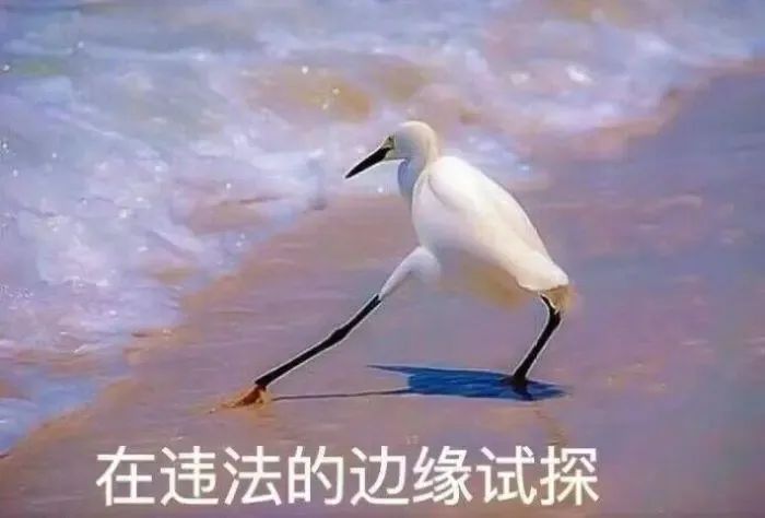 警方破获网赌案件,警方侦破一起网络交友诈骗案