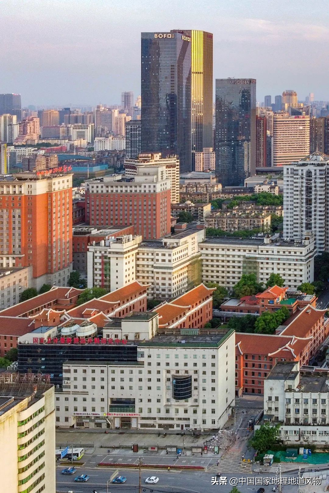 中南大学中南矿冶学院,中南是哪个大学