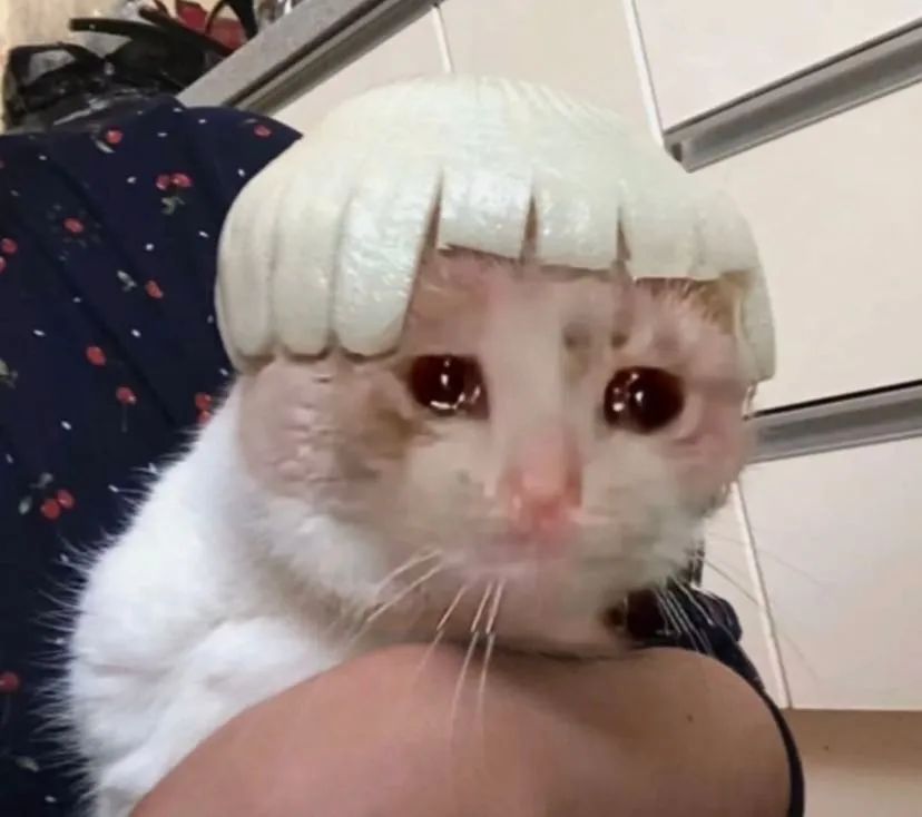 糖豆人在steam下架了怎么玩,糖豆人还免费么