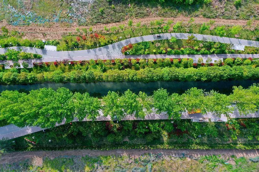 西安新城区和高新区,西安高新生态绿心规划