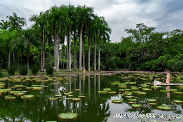 云南西双版纳房价,云南西双版纳旅游