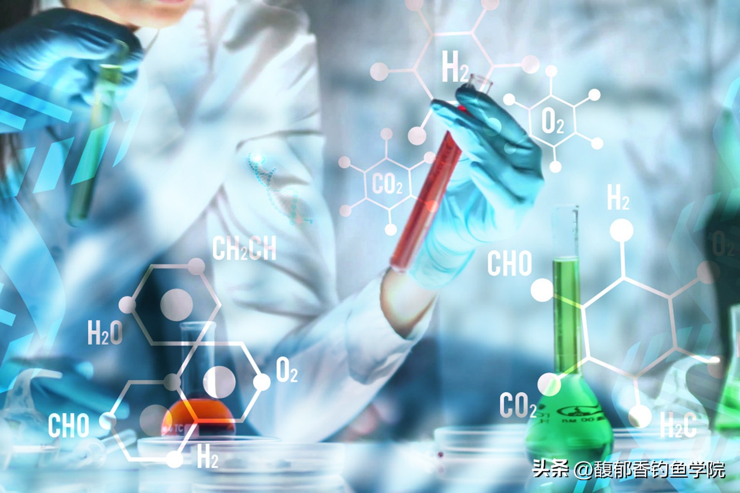 钓鱼用什么样的氨基酸好,氨基酸适合冬天钓鱼吗