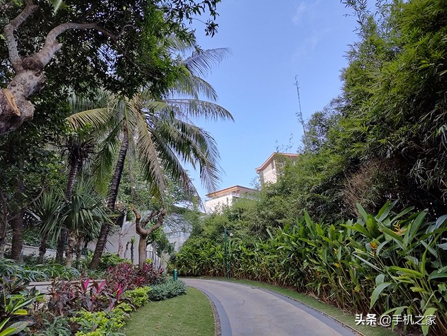 职业选手如何评价一加10pro,职业选手怎么评价一加10pro