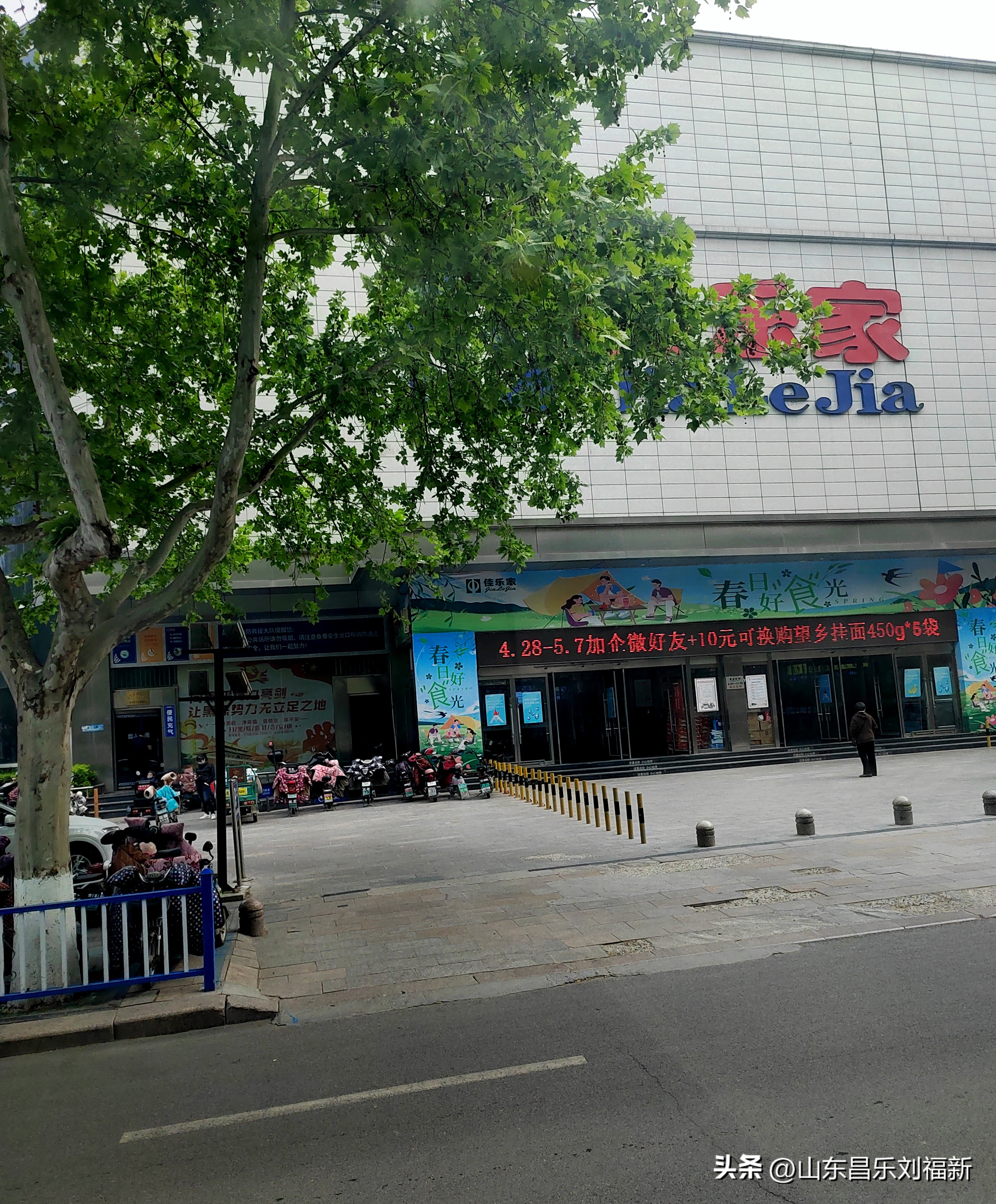 洋槐花·万马奔腾电器·鄌郚医院贴膏药