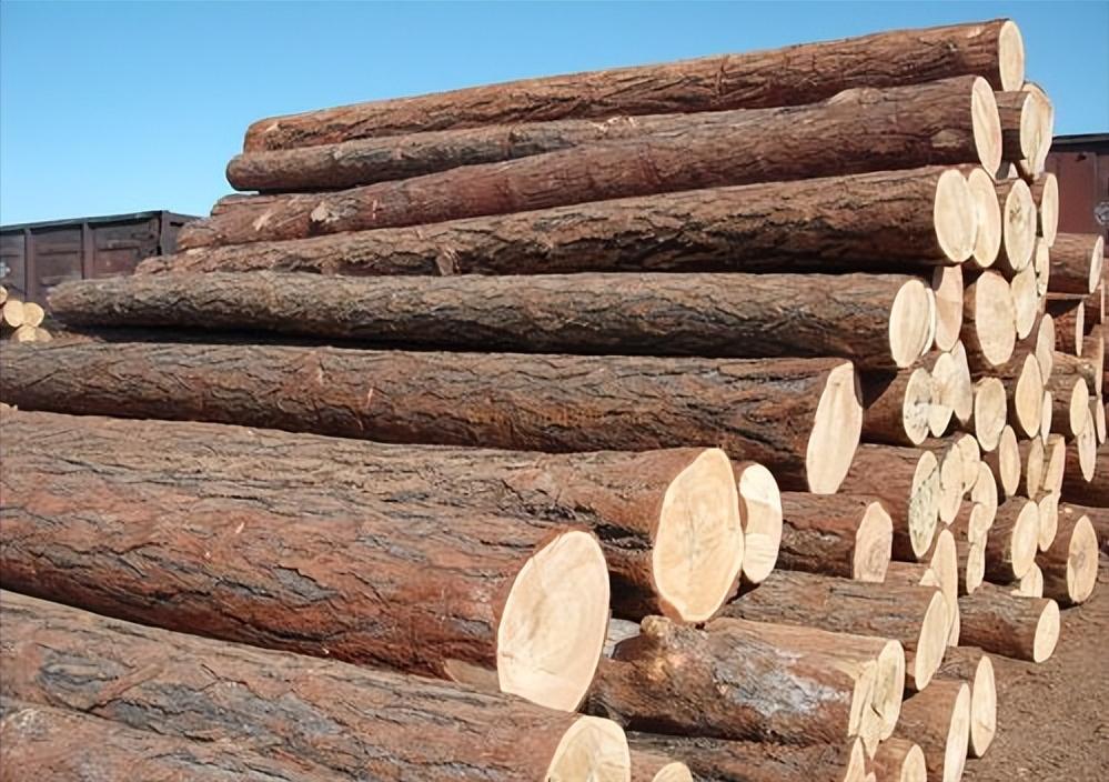 一战前英俄贸易关系,18世纪的中俄有什么关系