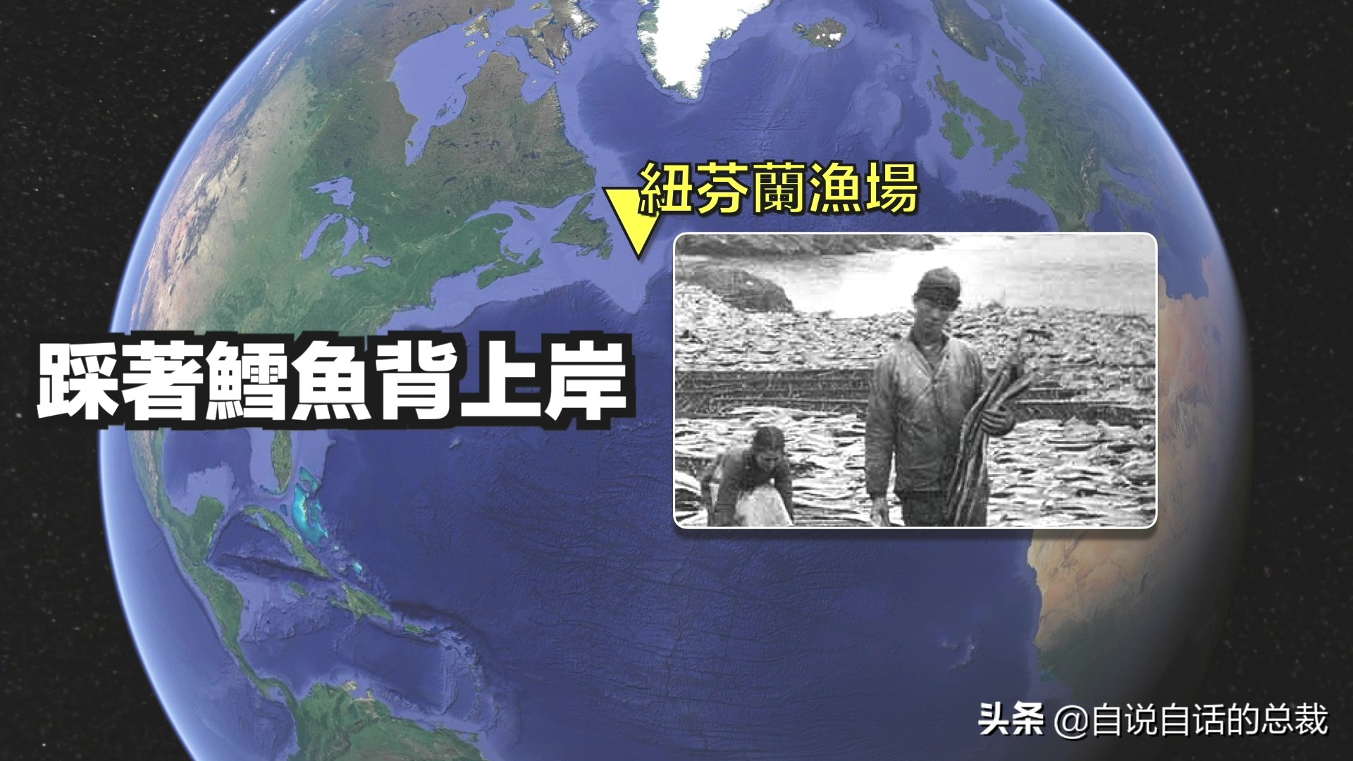 为什么买的鳕鱼段都是粘液,为什么买的鳕鱼那么多水