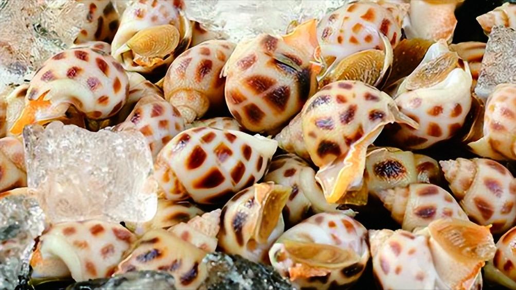 新鲜海鲜店加盟店排行榜,新鲜海鲜加盟连锁店