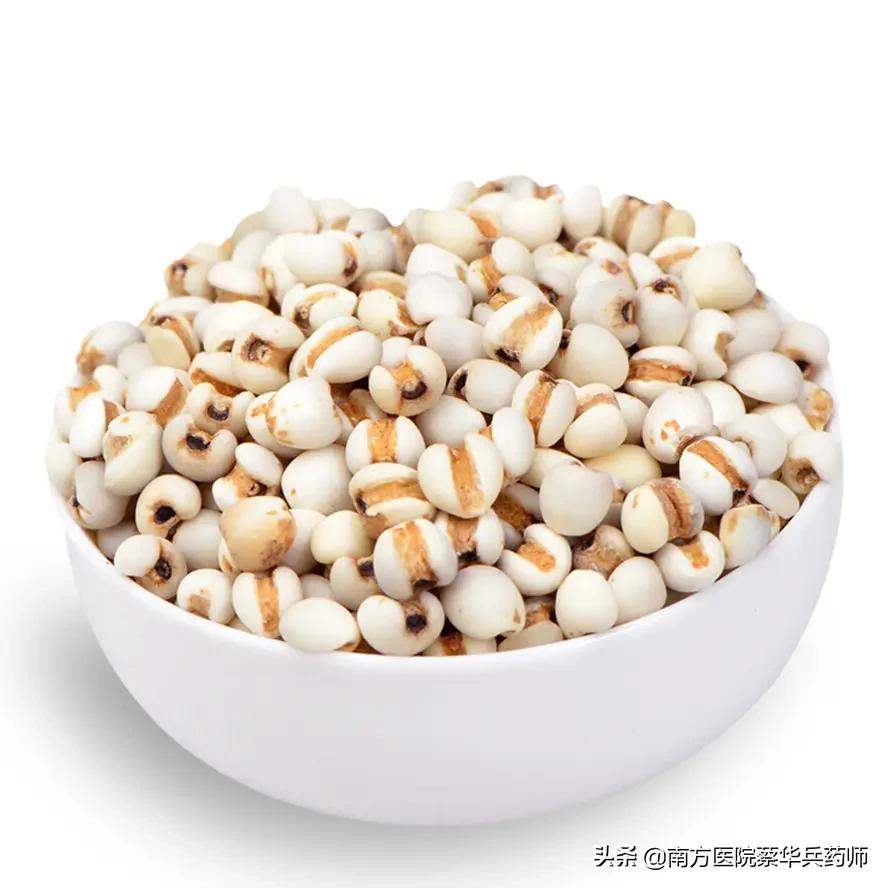 薏苡仁煮粥能除湿吗,薏苡仁药食同源可以祛湿嘛