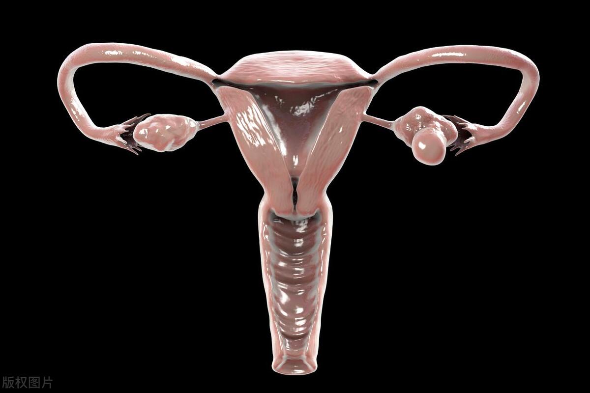 子宫切除对女性有什么危害和影响,女性切除子宫后对男性有什么影响