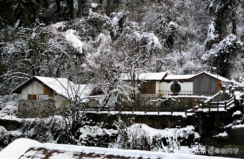 十首有关雪的十大绝美诗句,含雪和娇字的唯美诗句