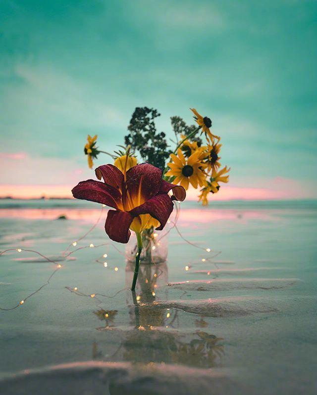 六月最后一天晚安说说,八月下雨晚安说说短句