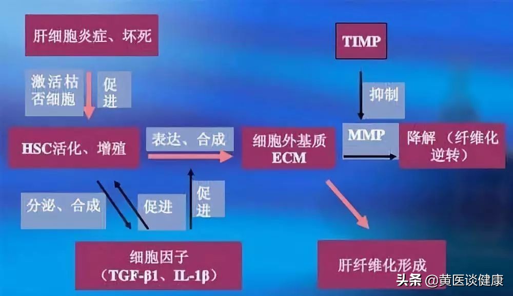 拉米夫定耐药换恩替卡韦,以前吃拉米夫定后改用恩替卡韦