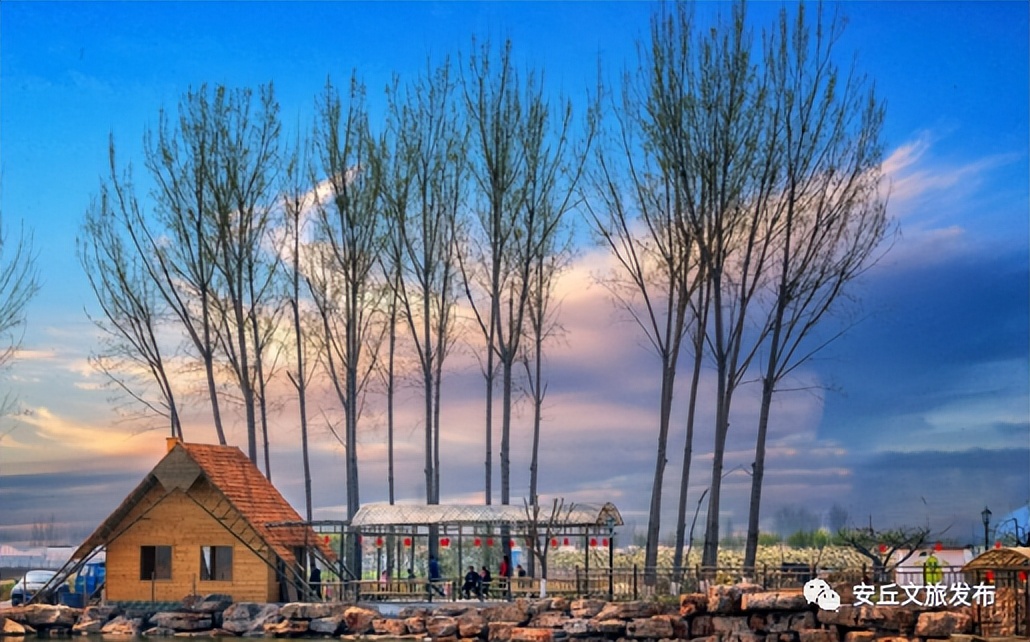 潍坊旅游发展,潍坊东亚文化之都旅游资源丰富