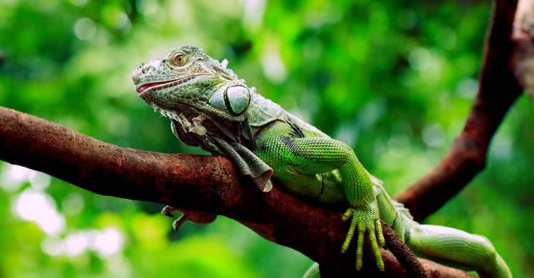 广州长隆酒店童趣乐园,广州游玩长隆性价比超高的酒店