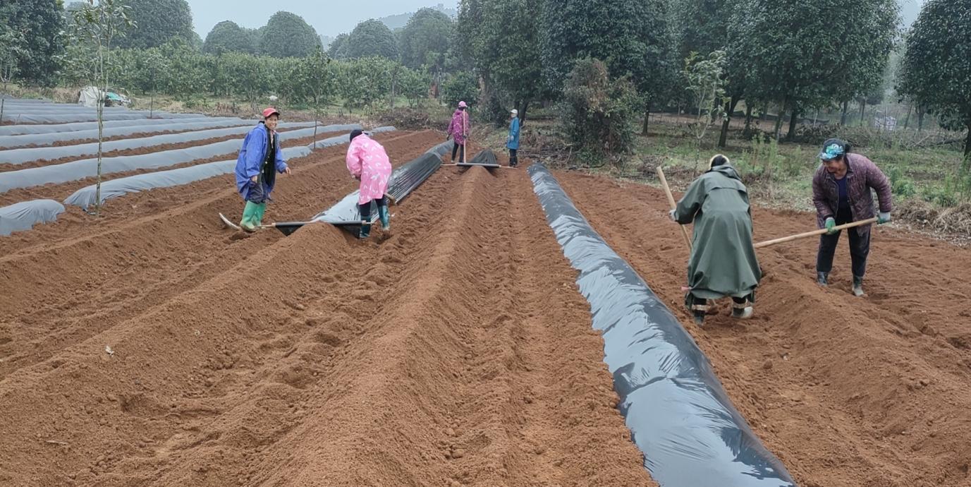 退役女兵创业故事,回乡创业优秀妇女故事