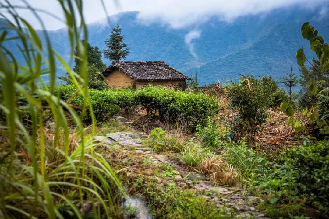 万里茶道第一镇铅山休闲一日游,铅山县万里茶道世界遗产