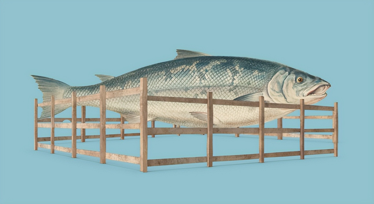 鏃ユ湰鍗朿rispi,crispr鑾锋壒