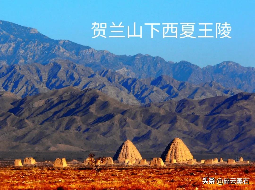 我的隔离日记第1天,我的隔离日记第2天