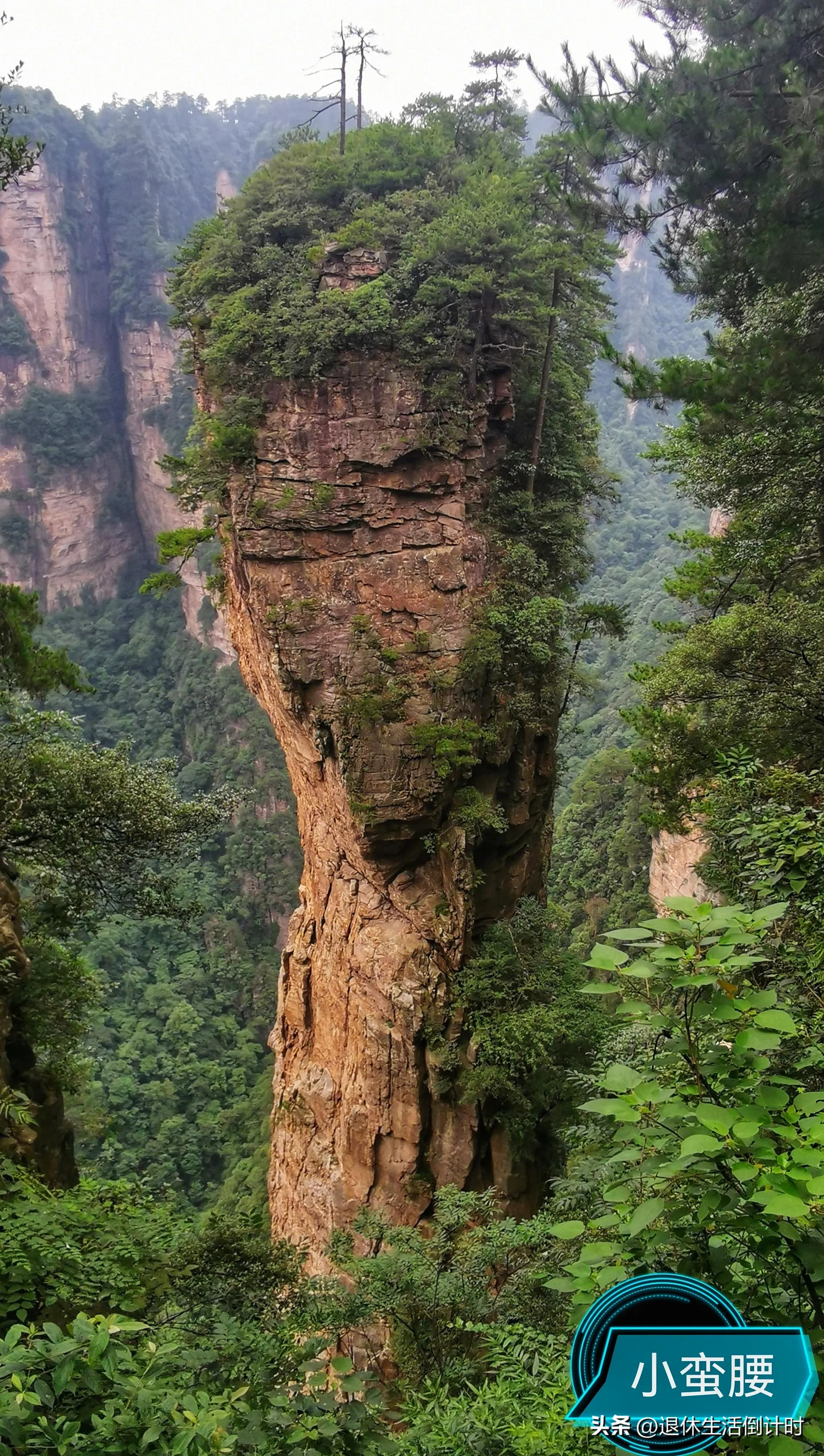 张家界旅游如何避免踩坑,张家界旅游购物坑