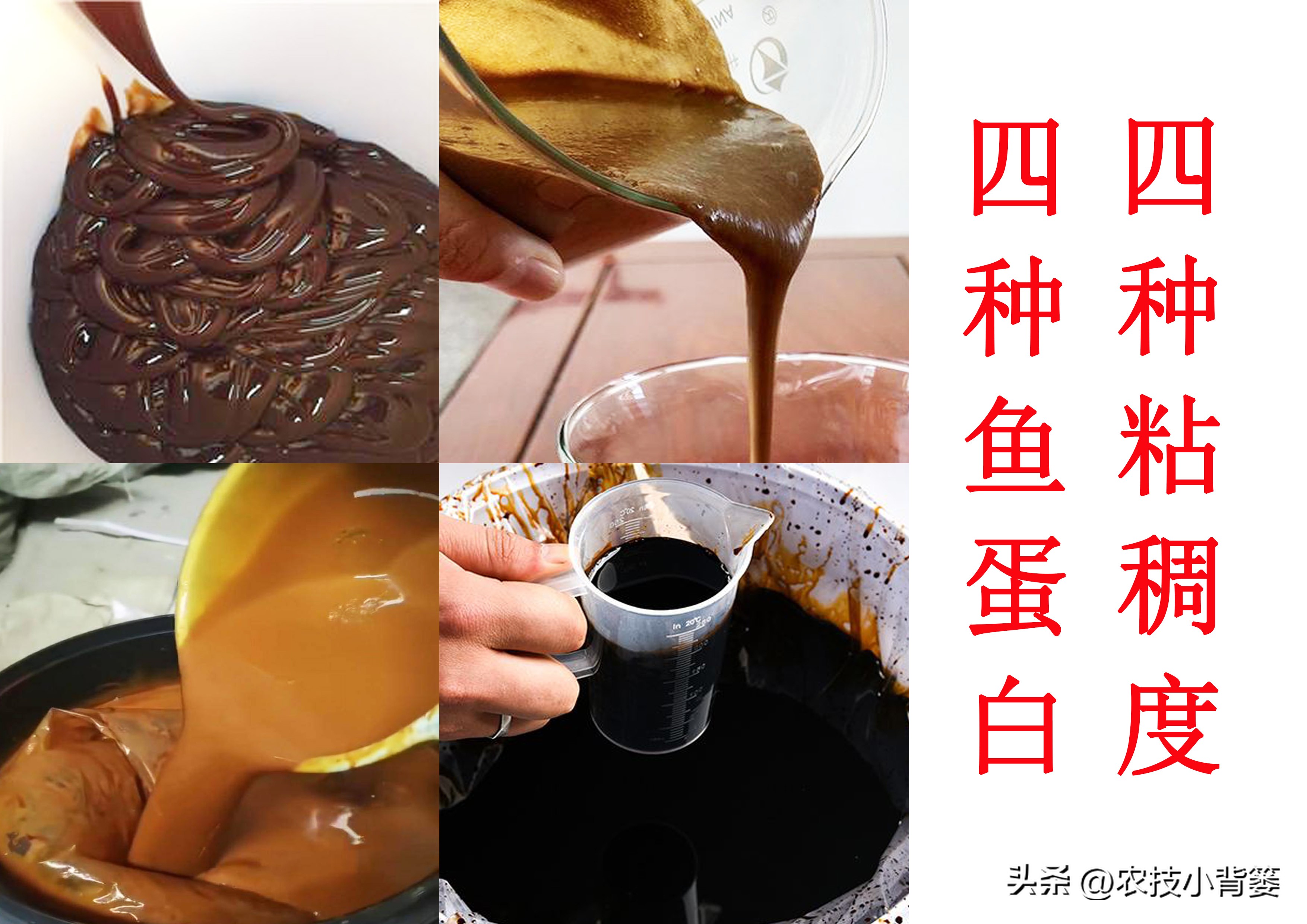 颜色不同的蛋白,各种规格鱼蛋白