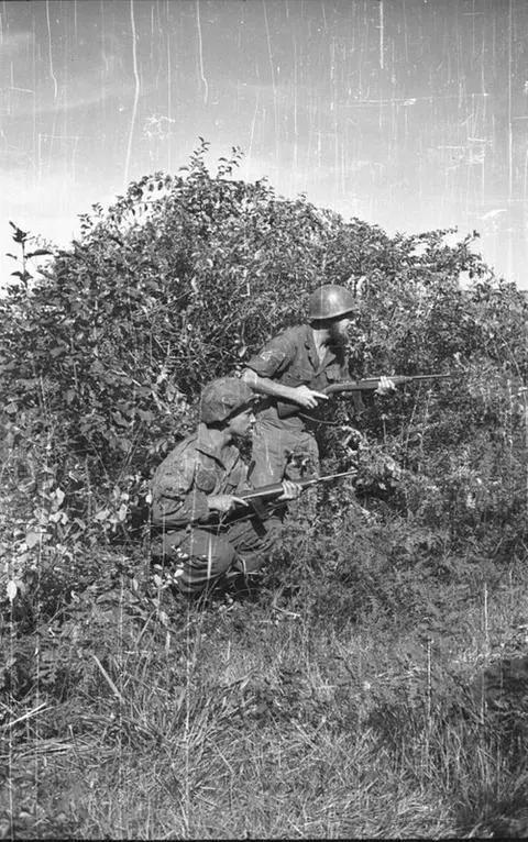 美军北极熊团是怎么被全歼的,美军北极熊团一战打过西伯利亚