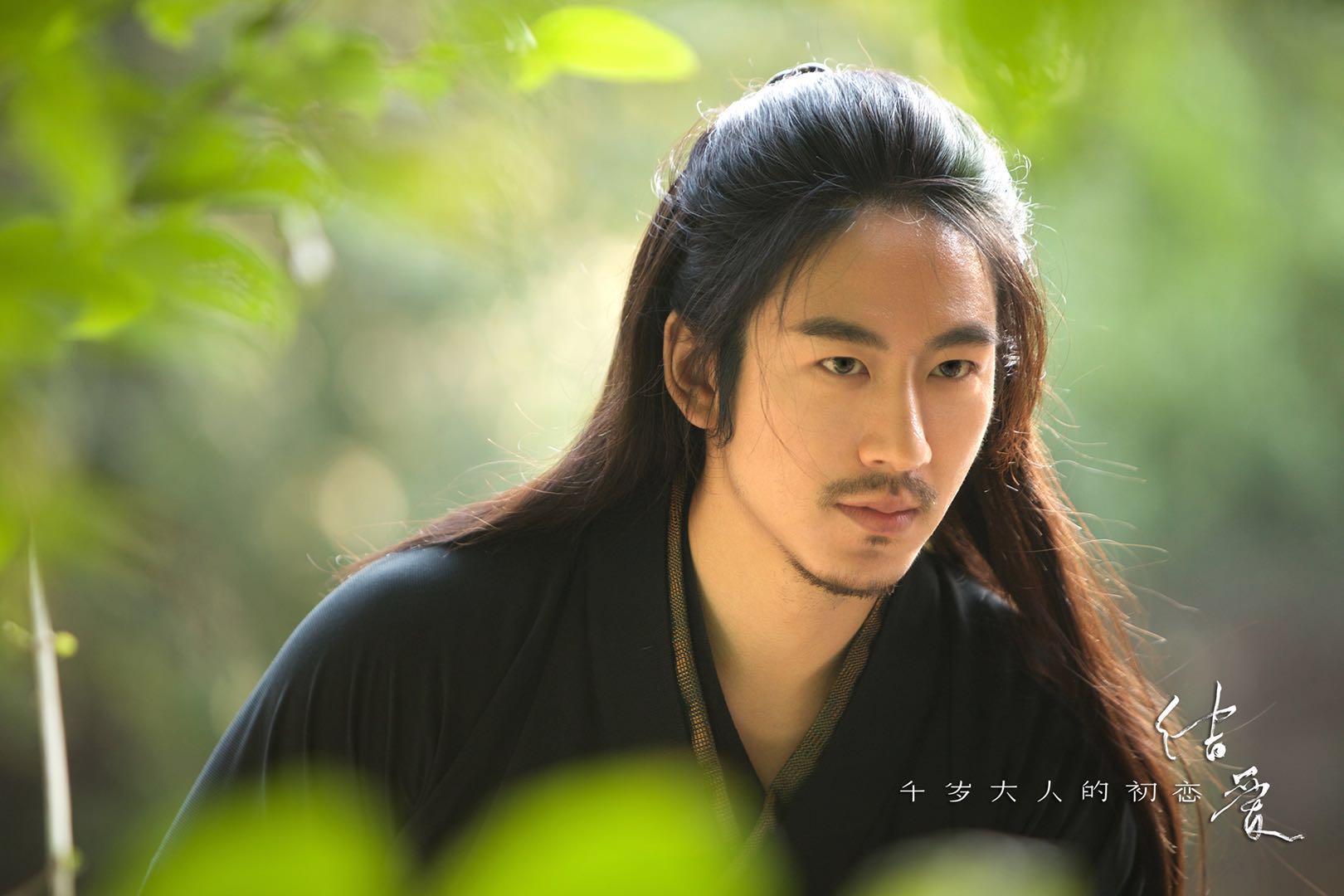 青鸟飞鱼现状,青鸟飞鱼解散