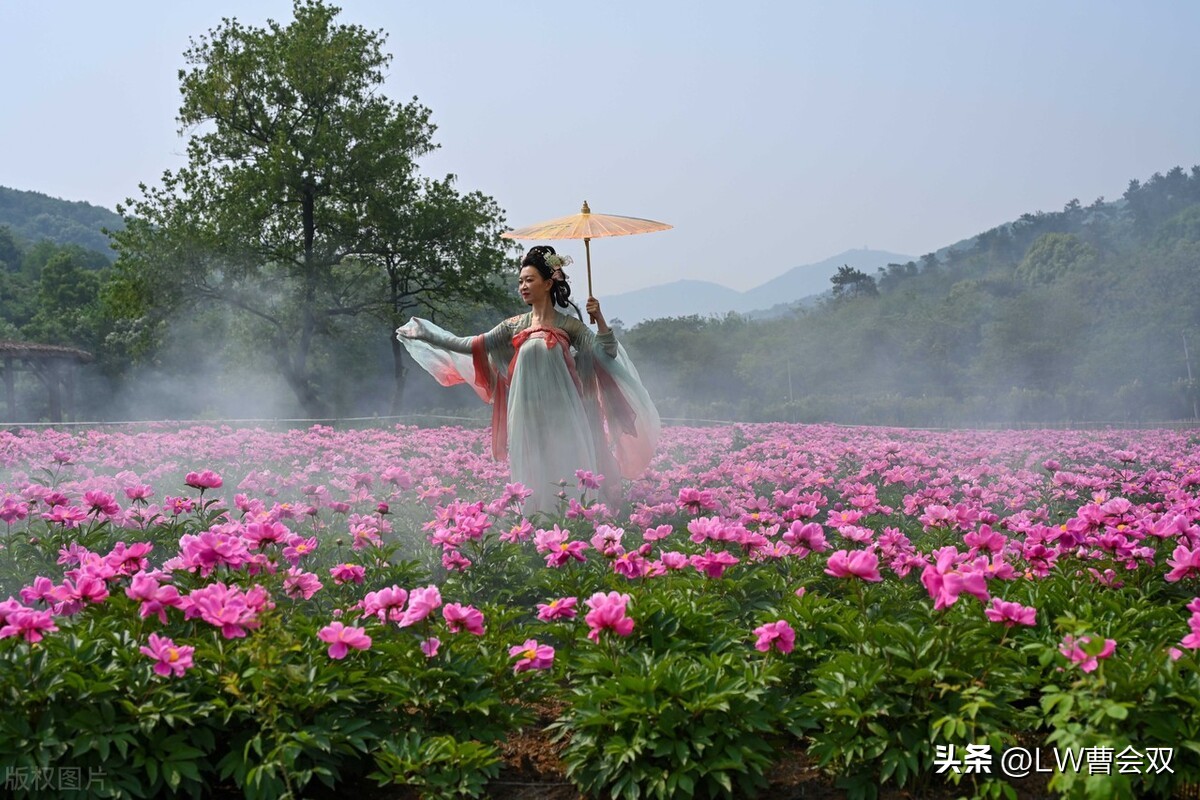 我不是“爬”阶梯，就是“坐”电梯