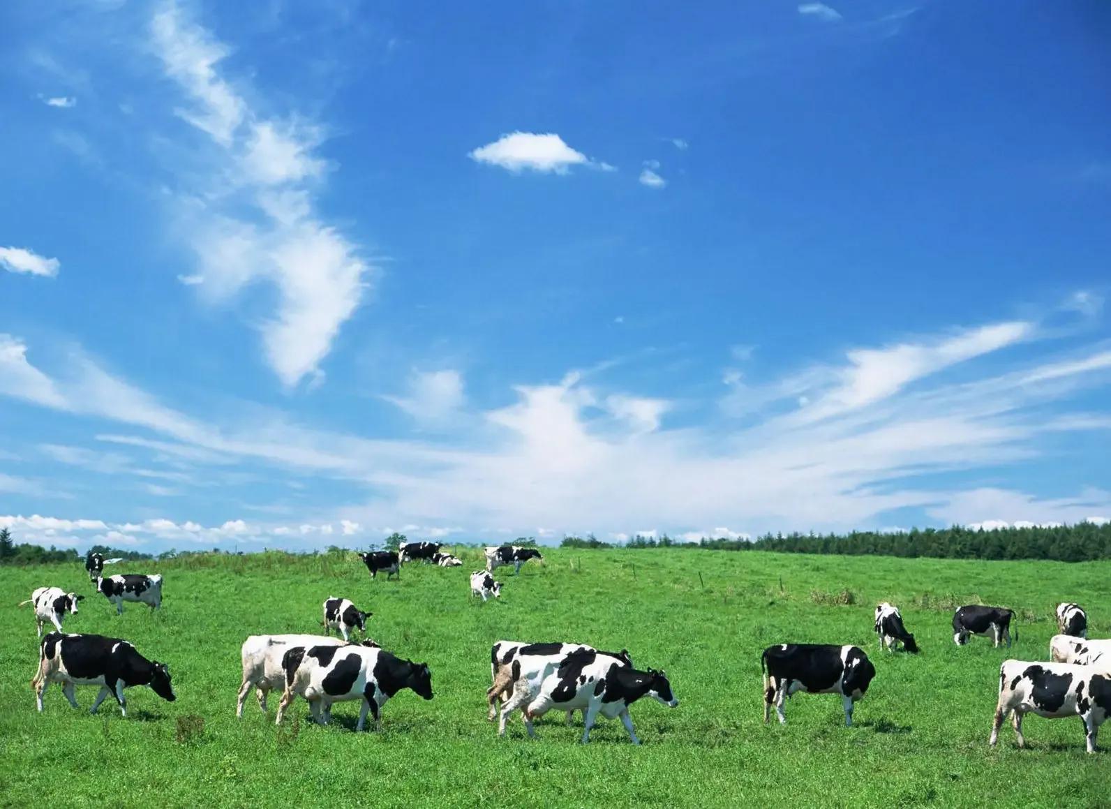 为什么奥巴马挑战半个地球,奥巴马为什么这么牛